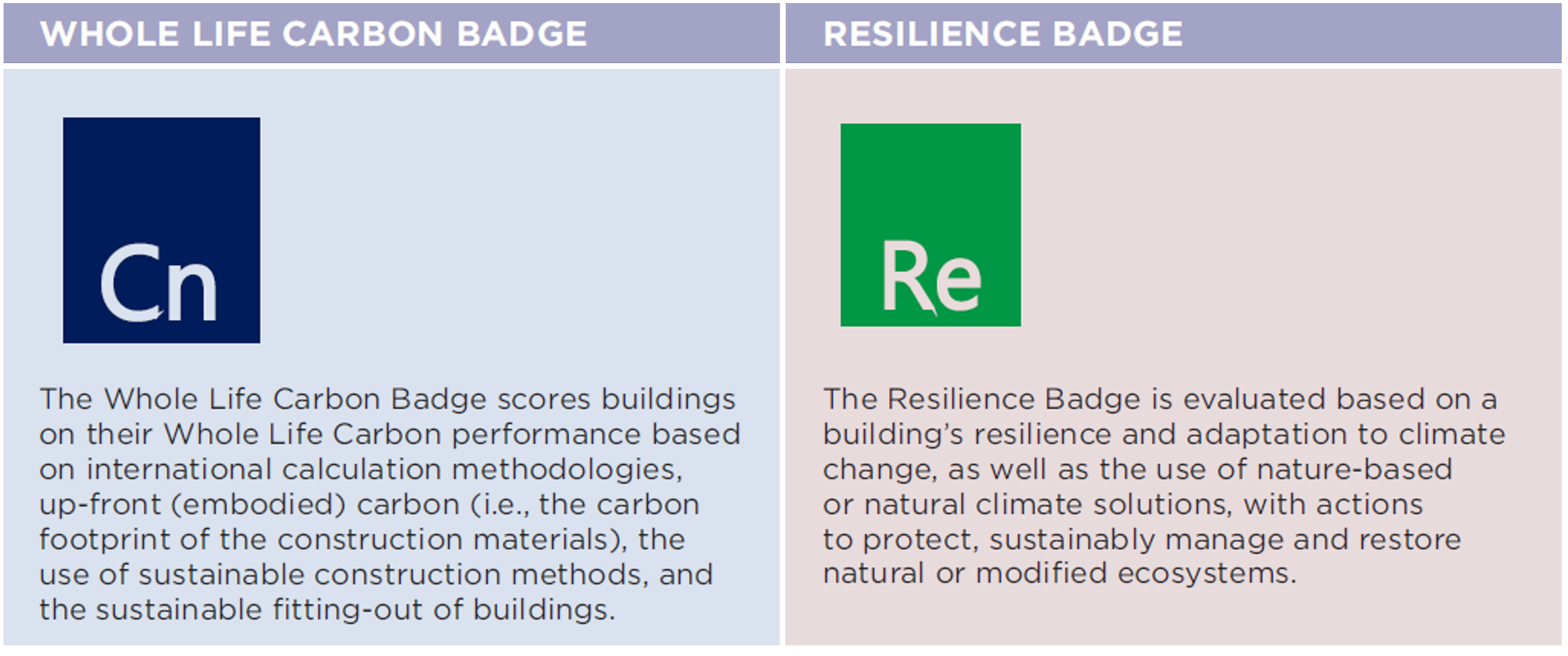 Table showing the characteristics of the Whole Life Carbon and Resilience Badges